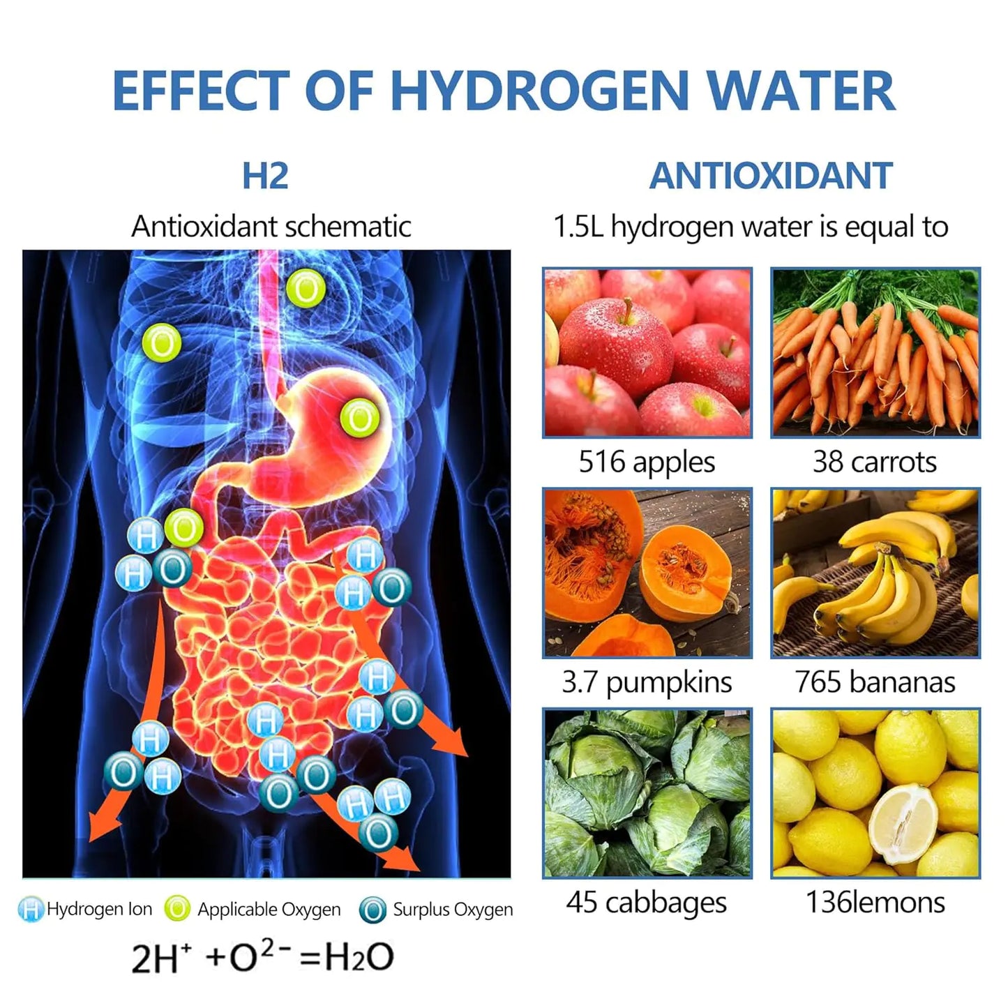 The ClearMind™ Hydrogen Water Bottle